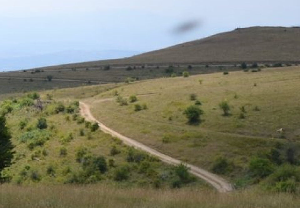 Автомобил попладнево падна во провалија на Скопска Црна Гора