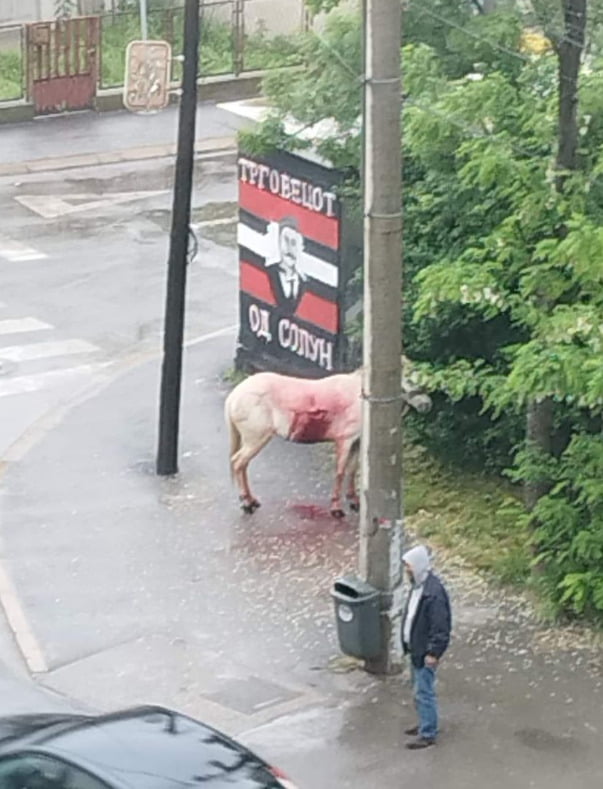 ФОТО: Коњ удрен од воз крвари на Сточен пазар