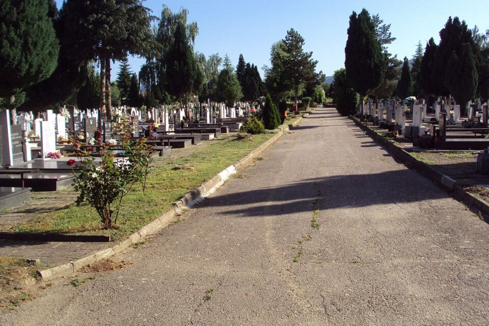 Кражба на гробиштата во Охрид, крадецот фатен на дело