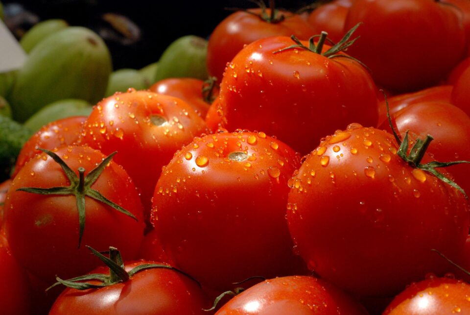 Нема ниту една увозна пратка со домати позитивна на пестициди, соопшти Агенцијата за храна