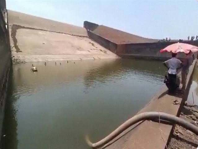 (Видео) Испразнил езеро за да си го најде телефонот: индиски владин службеник правел селфи кога „самсунгот“ му паднал во вода