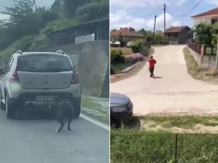 (Видео) Знаат ли надлежните во Македонија кој се поседува оружје и за какви цели, прашуваат од „Анима Мунди“