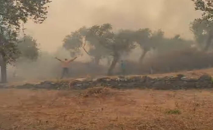 (Видео) Избувна пожар и на островот Тасос