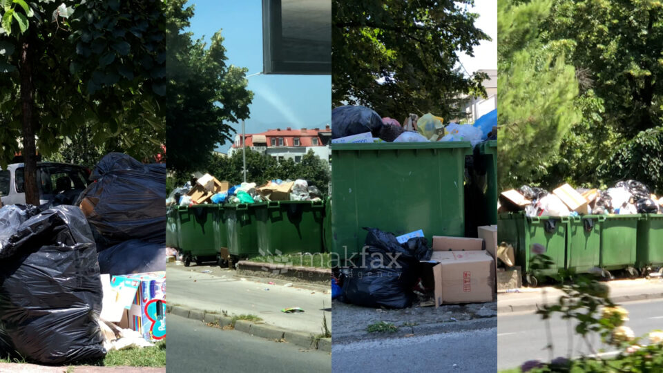 (Видео) Скопје заробено од ѓубре: Нема празен контејнер, но има расфрлан отпад и смрдеа низ цела Партизанска