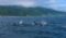 (Видео) Јато орки нападнаа хрватски брод кај Гибралтар: одеднаш удираат и заминуваат