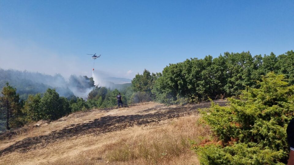 Локализиран пожарот во Лозово