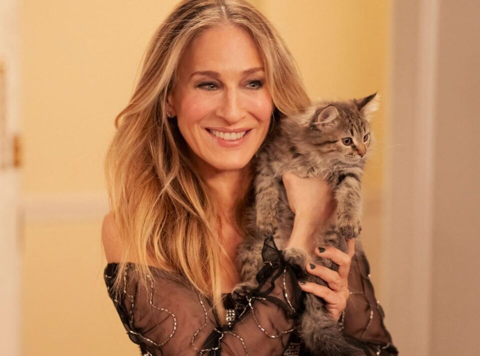 Сара Џесика Паркер ја посвои мачката на Кери Бредшо од новата серија