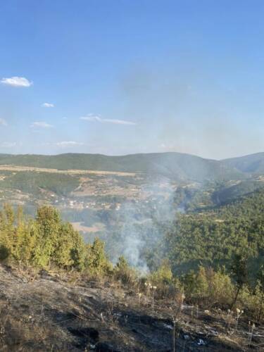 Се шири пожарот во Зелениково