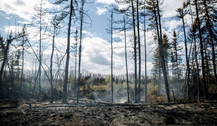 Северозападните територии во Канада прогласија вонредна состојба поради пожари