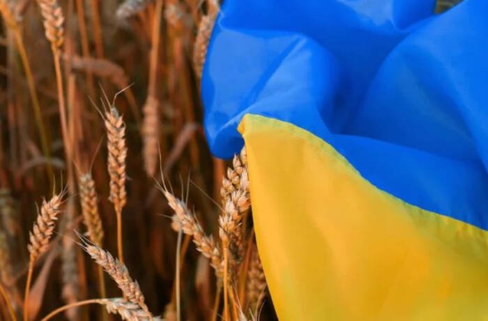 Украина испорача 8,1 милиони тони жито преку романското пристаниште Констанца