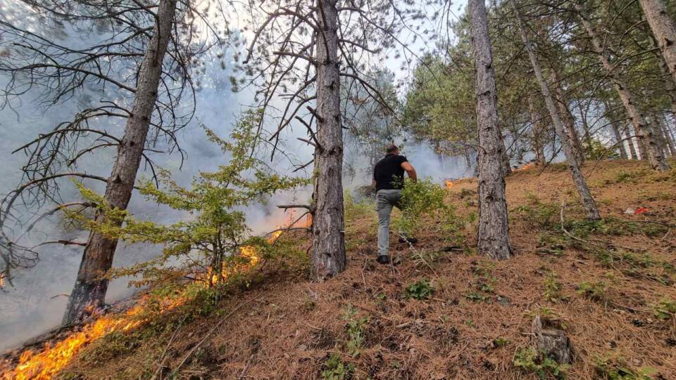 Активни шест пожари во околината на Прилеп и Битола