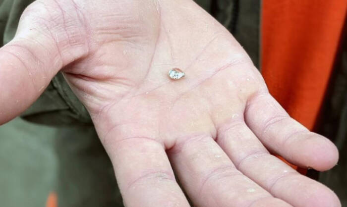 Девојче пронашло „камче“ со големина на зрно грашок во паркот каде го славела роденденот:  се утврдило дека тоа е дијамант
