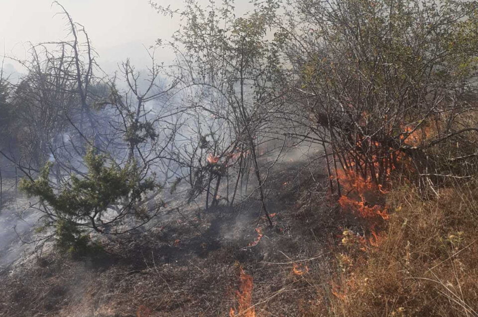 Нема опасност по Зрзе и Кошино – пожарникарите се’ уште се борат да го стават огнот под контрола