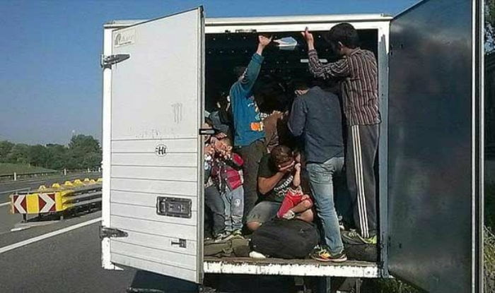Приведен шверцер на мигранти од Струга, пронајдени 33 лица