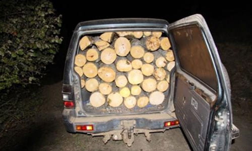 Пронајден крадец од Ранковце, украл седум кубни метри огревно дрво