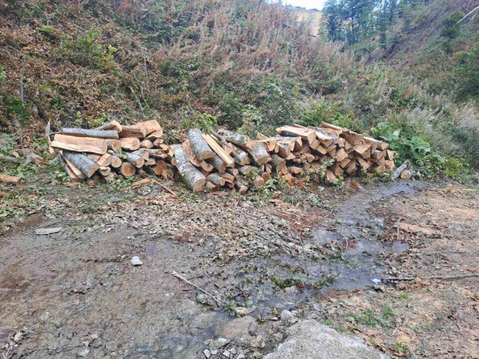 (Видео) На Скопска Црна Гора запленети 400 кубици бесправно исечено огревно дрво, приведени 10 дрвокрадци