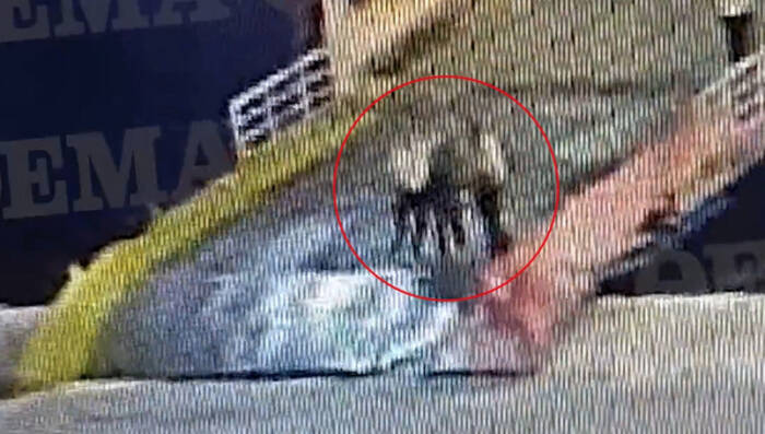 (Вознемирувачко видео) Се огласи братот на човекот што беше турнат од  тракет во Пиреја, патник ја снимил страшната сцена