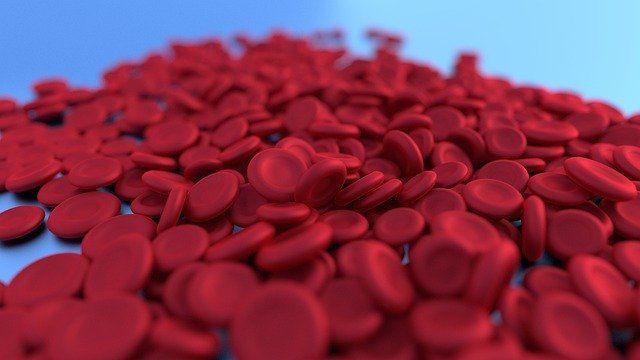 Red Blood Cell 4807214 640.jpg