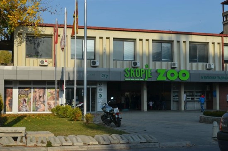 Zoo Skopje.webp.webp