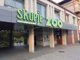 Zooloshka Skopje.jpg