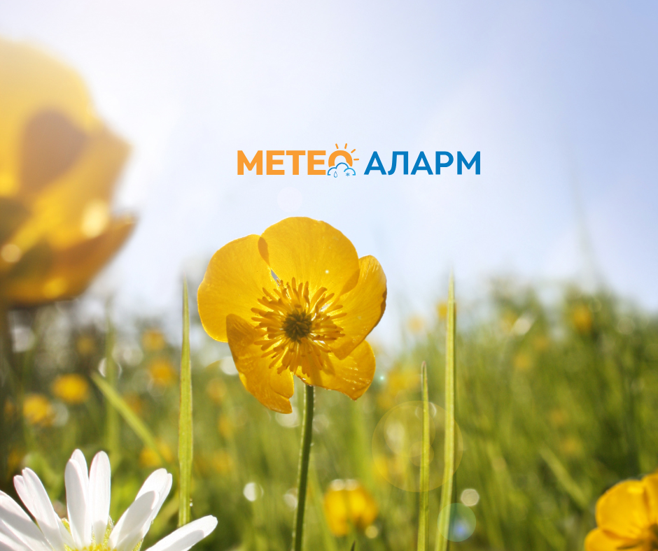 Meteoalarm.mk 59 1.png