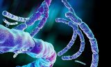 1571404135 bacillus anthracis vaccines 1.jpg