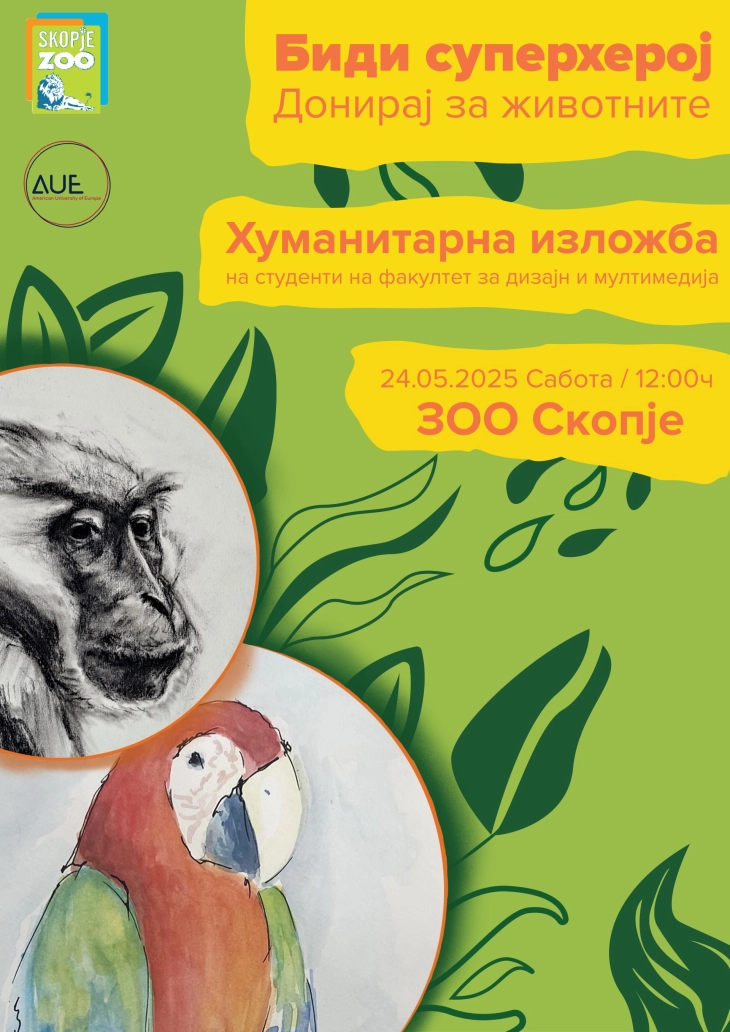 20250523183536 big 730x400 48.webp.webp