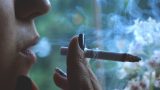 Cigari 1.jpg
