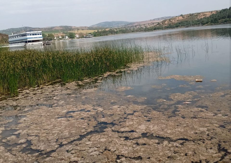 Ezero mladost 1.jpg