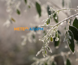 Meteoalarm.mk 41.png