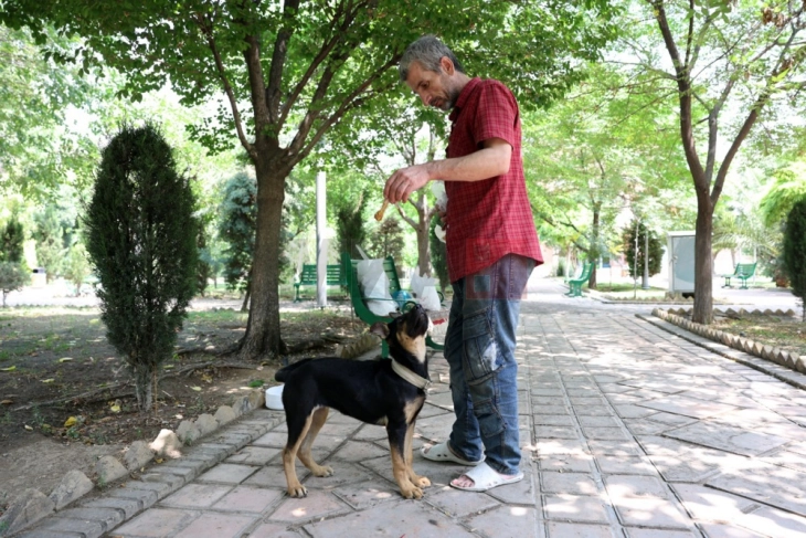 20250609193430 big 730x400 60.webp.webp