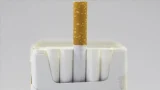 Cigari.webp.webp