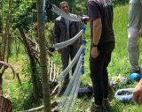 Elektricni ogradi sar planina mecki.jpg