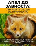 Fb img 1750156613603.jpg