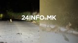 Sari sade valiz hazirlama seyahat gezi youtube kucuk resim 4.jpg