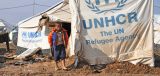 Unhcr.jpg