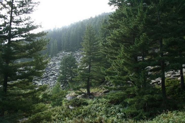 20250720130553 big 730x400 86.webp.webp