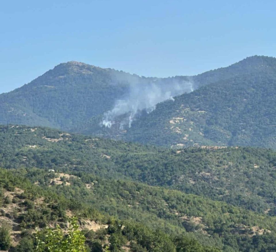 Goten planina tppe berovo e1753358927734.jpg