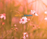 Meteoalarm.mk 23.png