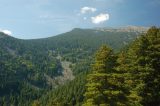 Planina.jpg