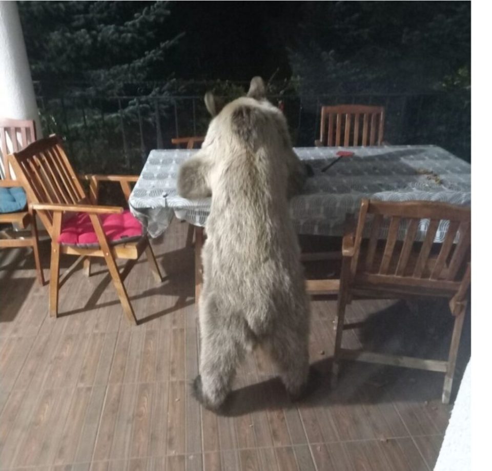 Img 4745.jpeg