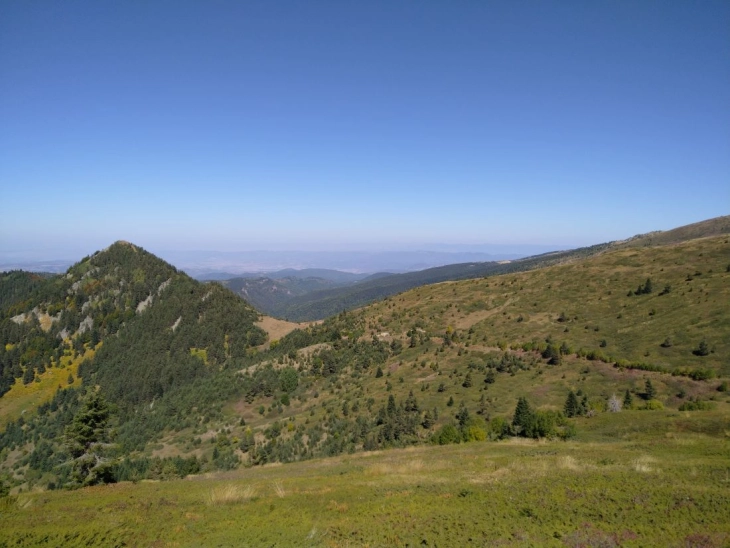 20240103162205 big 730x400 13.webp.webp