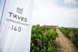Foto tikves grozdober 1.jpg