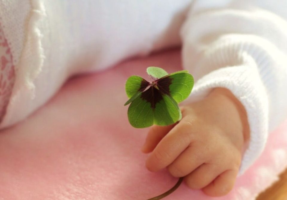 Bebe detelinka 1024x714 1.jpg