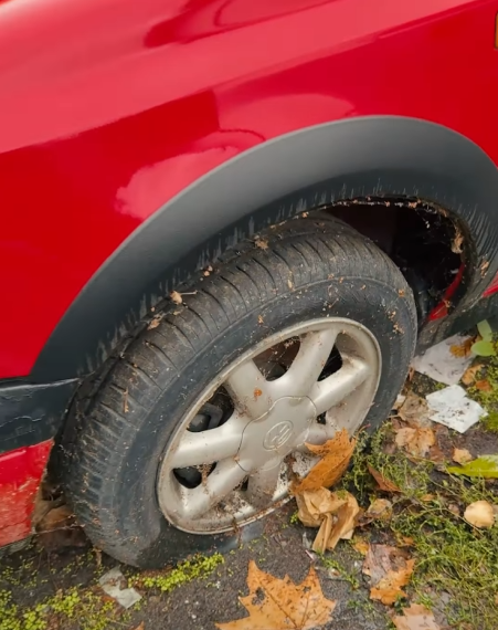 Image 2025 10 28 154555436.png