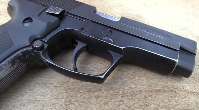 Pistol e1729951316389.jpg