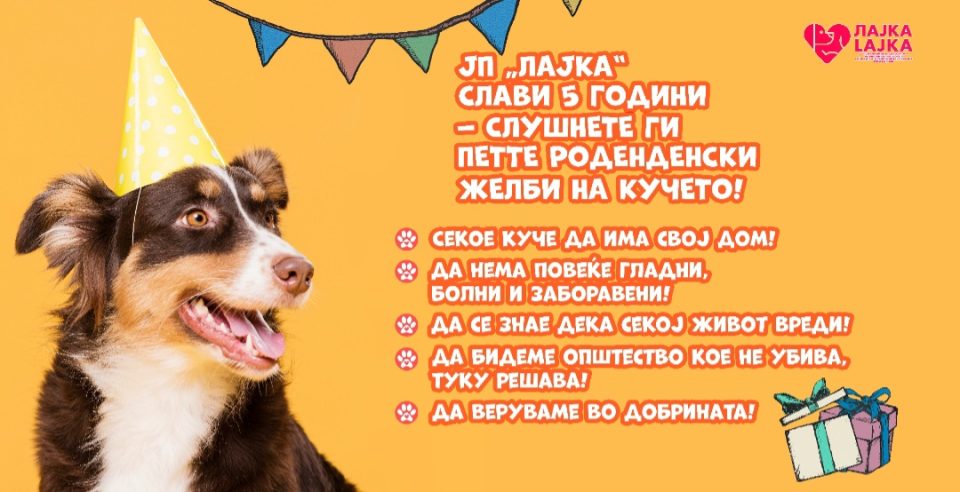 Screenshot 20251016 151209 gallery.jpg