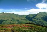 Shar planina 1.jpg