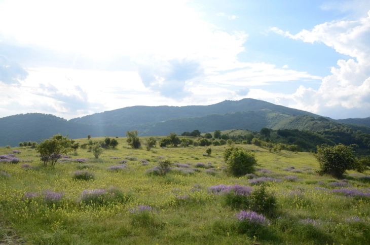 Vreme 1.webp.webp
