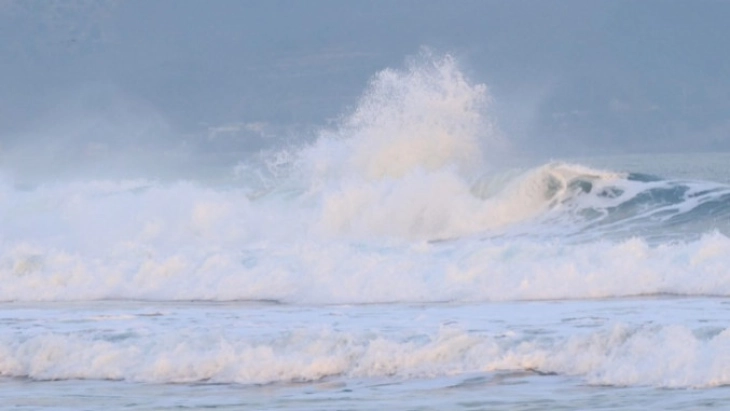 20250730101022 big 730x400 44.webp.webp